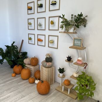 Plants and Juice Bar - Juice Bars & Smoothies Near Me - Rohnert Park, California Plants and Juice Bar - Juice Bars & Smoothies Near Me - Rohnert Park, California