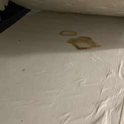 Residence Inn by Marriott Baltimore Owings Mills - Roaches and bed staining when we checked for bedbugs...