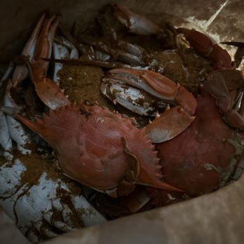 JAE SEAFOOD BY TOMMY - Updated January 2026 - 60 Photos & 60 Reviews