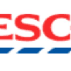 Tesco Express - logo from official website