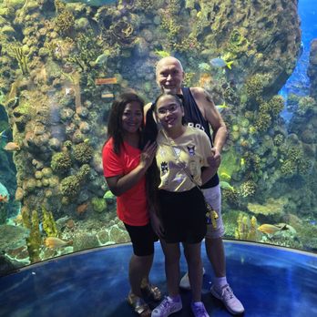 Aquarium At The Boardwalk - Inside the big aquarium - Aquariums Near Me - Branson, Missouri