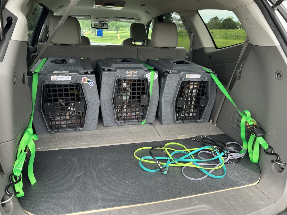 Little Bird Dog Walking and Training - pet boarding facility in Tulsa, OK