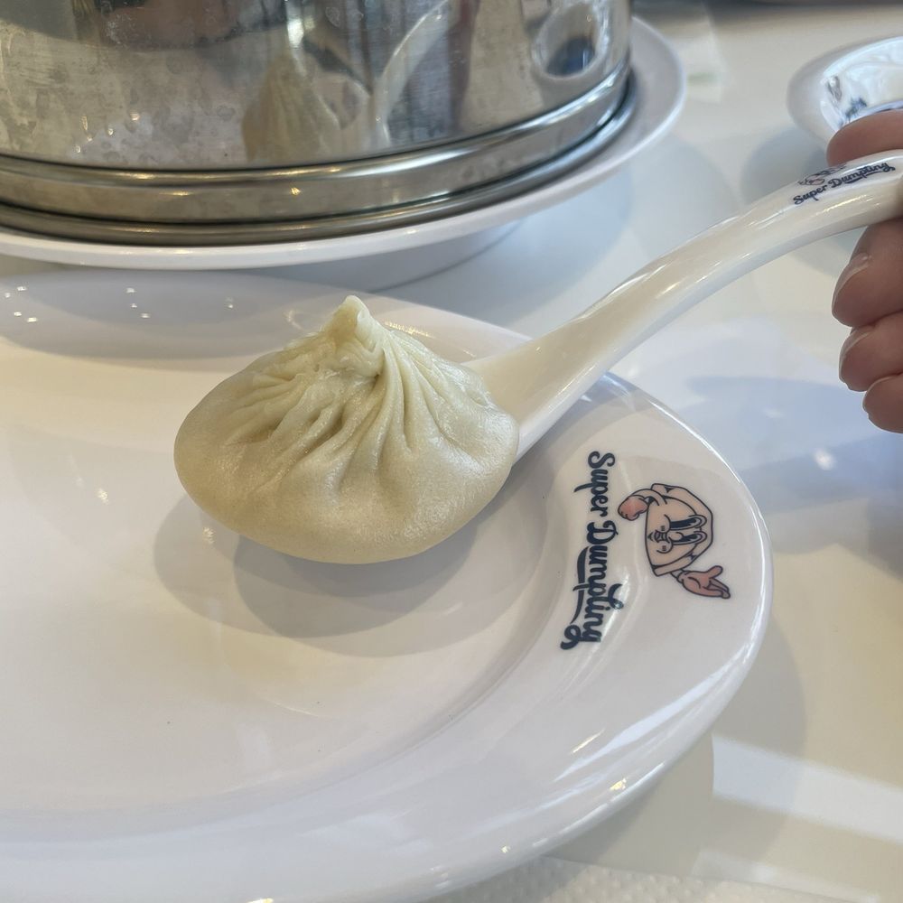 Super Dumpling - Chicken Xiao Long Bao - Noodles Near Me - Orange, California