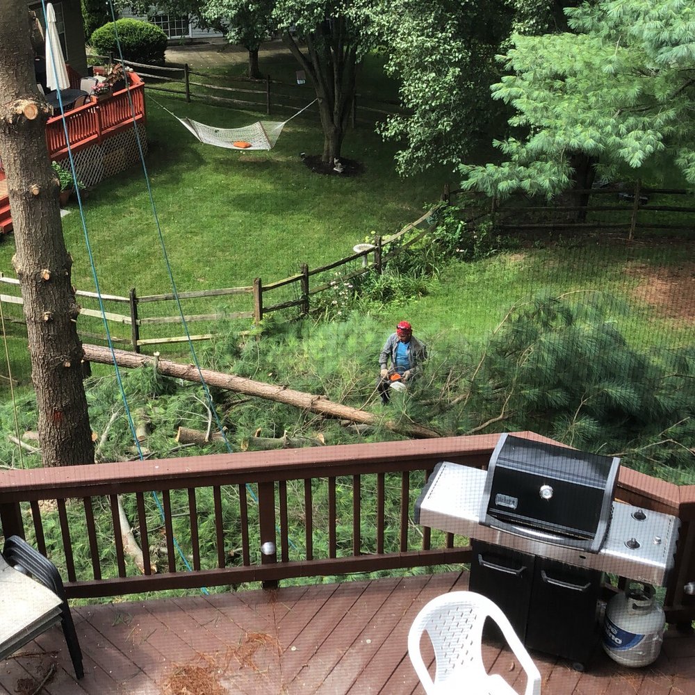 Shifflett Tree Service - Tree Services Near Me - Derwood, Maryland