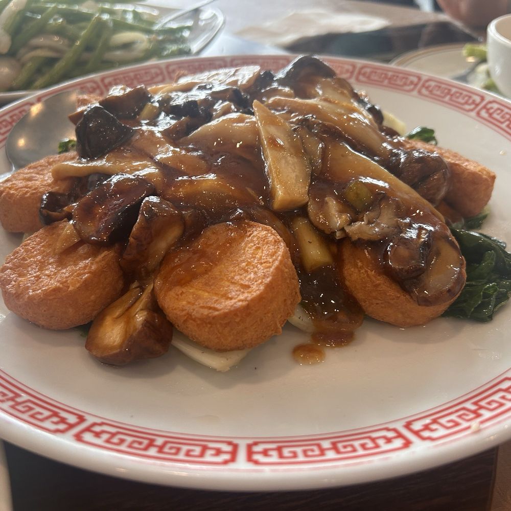 R House - Mushrooms and tofu - Cantonese Near Me - Houston, Texas R House - Mushrooms and tofu - Cantonese Near Me - Houston, Texas