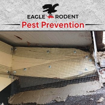 Eagle Rodent Proofing - Pest Prevention Services - Pest Control Near Me - San Carlos, California Eagle Rodent Proofing - Pest Prevention Services - Pest Control Near Me - San Carlos, California