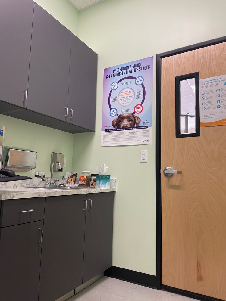 GREENBACK HAZEL ANIMAL HOSPITAL Updated October 2024 18 Reviews