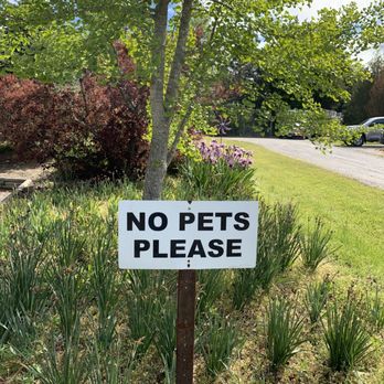 Glen Allen Greenhouse - Gift Shops Near Me - Glen Allen, Virginia