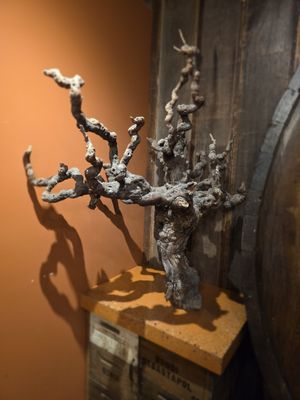 Martinelli Vineyards & Winery by null
