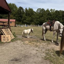 Red Barn Pony Park - The tiny pony Henry was adorable he followed behind the whole ride
