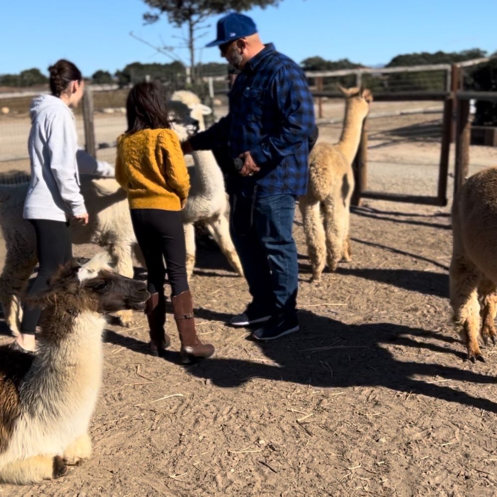 Zaca Creek Ranch - Kali our guide and the beautiful llamas and alpacas from the ranch. - Ranches Near Me Zaca Creek Ranch - Kali our guide and the beautiful llamas and alpacas from the ranch. - Ranches Near Me