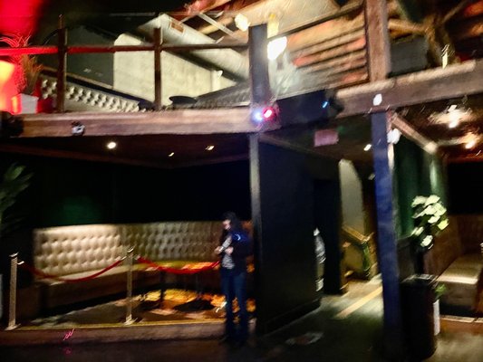 Zanzi Oakland by null