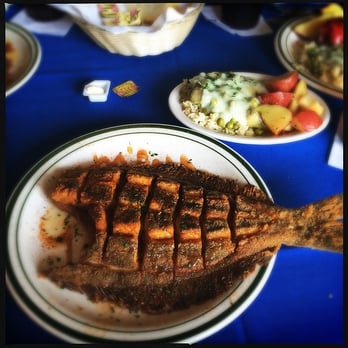 Olympia Cafe - Scored flounder - Greek Near Me - Savannah, Georgia Olympia Cafe - Scored flounder - Greek Near Me - Savannah, Georgia