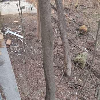 Greenzang Properties - Trash for months in the Wissahikon trails, which is city property. - Property Management Near Me - Philadelphia, Pennsylvania