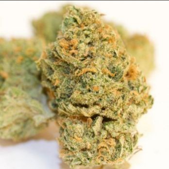 Native Roots - Cannabis Clinics Near Me - Orlando, Florida Native Roots - Cannabis Clinics Near Me - Orlando, Florida