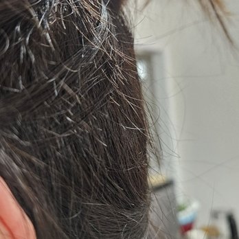 My Linh Salon - Hair Salons Near Me - San Jose, California My Linh Salon - Hair Salons Near Me - San Jose, California