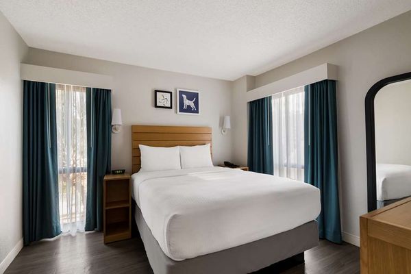 Sonesta ES Suites Orlando - International Drive by null
