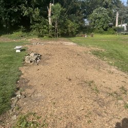 Maple Tree Service & Landscaping - Finished grinding 5 stumps