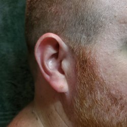 Dan's Barber Shop - Sideburn