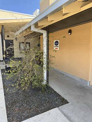 Castroville Barbecue Company by null