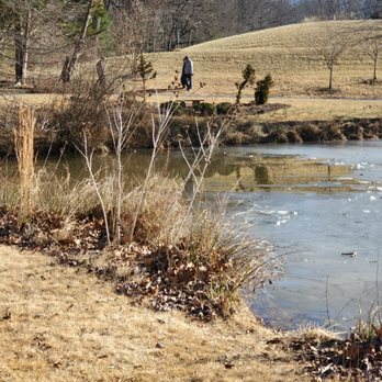 Meadowlark Botanical Gardens - Meadowlark has its own beauty in winter. Ice on the pond here. - Botanical Gardens Near Me - Vienna, Virginia