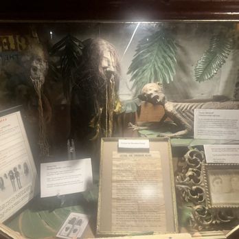 Graveface Museum - Museums Near Me - Savannah, Georgia Graveface Museum - Museums Near Me - Savannah, Georgia