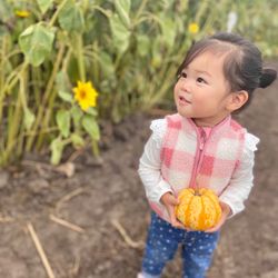 Farmer John's Pumpkin Farm - Small pumpkins