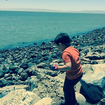 Marina Park - Fathers Day '15 - Parks Near Me - San Leandro, California
