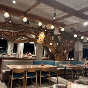Monkeypod Kitchen - Decor - Tacos Near Me - Honolulu, Hawaii Monkeypod Kitchen - Decor - Tacos Near Me - Honolulu, Hawaii