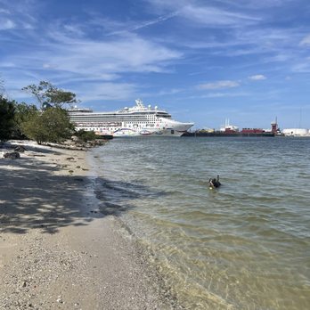 Davis Island Dog Beach - Beautiful cruise ship and my boy Titus enjoying the lovely water! - Dog Parks Near Me - Tampa, Florida Davis Island Dog Beach - Beautiful cruise ship and my boy Titus enjoying the lovely water! - Dog Parks Near Me - Tampa, Florida