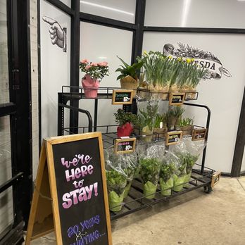 Trader Joe's - Flowers - Grocery Near Me - Bethesda, Maryland Trader Joe's - Flowers - Grocery Near Me - Bethesda, Maryland
