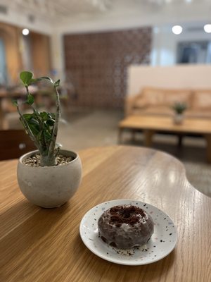 The Salty Donut by null