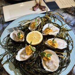 Oysters App Oysters App