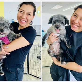 Bella Banana Pet Spa - First visit - Pet Groomers Near Me - Torrance, California Bella Banana Pet Spa - First visit - Pet Groomers Near Me - Torrance, California