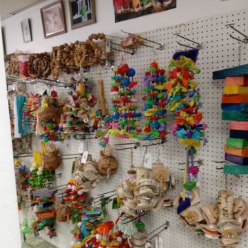 Rentzels Bird Farm - Bird Shops Near Me - Windsor, Pennsylvania Rentzels Bird Farm - Bird Shops Near Me - Windsor, Pennsylvania