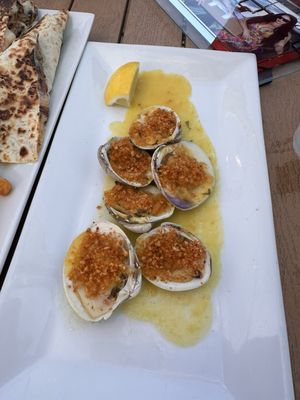 Hibiscus on the Mile by null