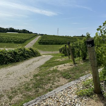 Dablon Vineyards & Winery - Wine Tasting Room Near Me - Baroda, Michigan Dablon Vineyards & Winery - Wine Tasting Room Near Me - Baroda, Michigan