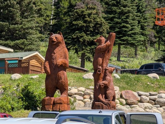 Jasper National Park by null