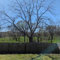Raines Tree Care