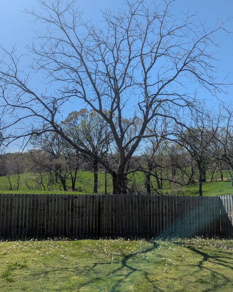 Raines Tree Care - tree service in Bentonville, AR