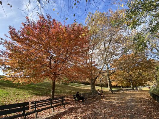 Inwood Hill Park by null