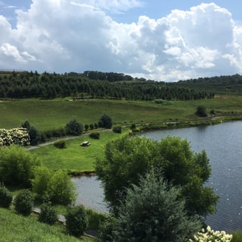 Mercier Orchards - Bakeries Near Me - Blue Ridge, Georgia