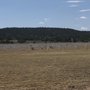 Photo of Fort Stanton Veterans Cemetery