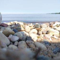 Zippel Bay State Park - The close-up shot of the rocky and sant beach along Lake of the Woods