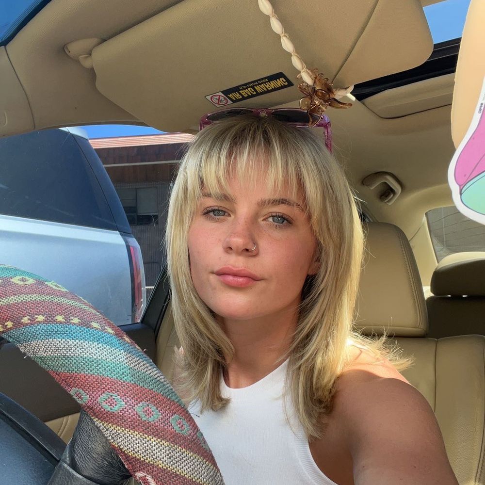 Blonde high lights and cut.