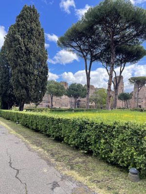 Baths of Caracalla by null