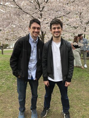 Japanese Garden by null