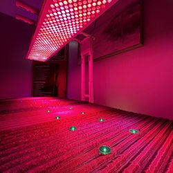 Thera-Red - PEMF therapy customizable 3-30hz, with 7 wavelengths medical grade red light therapy.