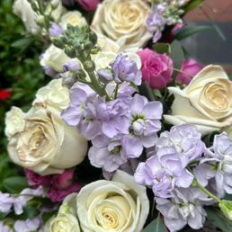 while you see the flowers are beautiful they are clearly not the flowers we contracted for while you see the flowers are beautiful they are clearly not the flowers we contracted for