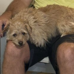 Village Way Veterinary